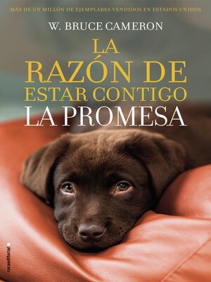 cover image of La promesa